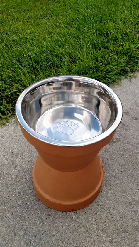 Lately taurine has been the talk of the pet food world. Raised Dog Food Bowls : 7 Steps (with Pictures ...