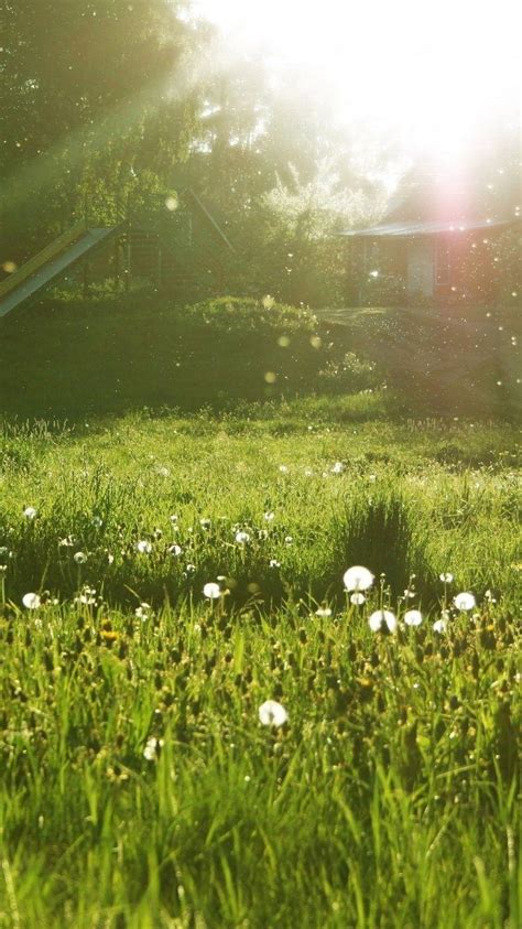 Sunny Spring Day Wallpapers Wallpaper Cave