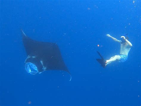 4 Spots Snorkeling Tour With Manta Rays In Nusa Penida Linkpass