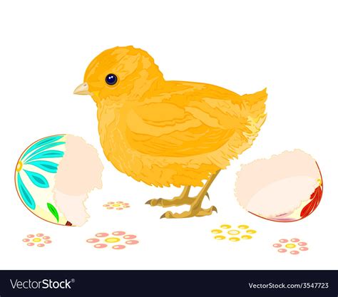 Easter Chick Hatched From Eggs Royalty Free Vector Image