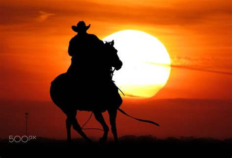 The Wrangler Cowboy Riding Horse At Sunset Wrangler Sunset Melanie