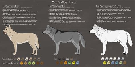Yamis Wolf Types Types Of Wolves Wolf Dog Breeds Wolf Conservation