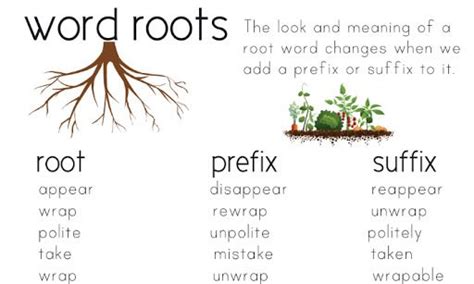 Exploring Root Words With Prefixes And Suffixes With Ween Root Words