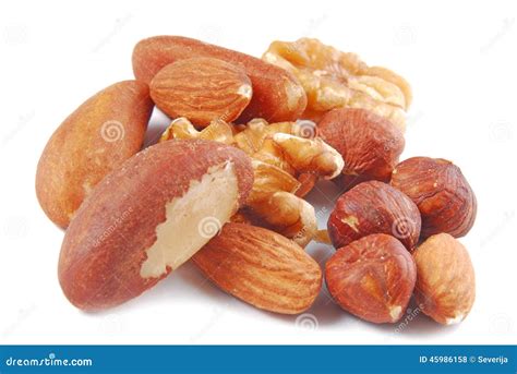 Various Nuts Isolated Stock Photo Image Of Fibre Object 45986158