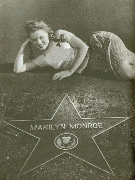 Marilyn Monroe Is Laying On The Hollywood Walk Of Fame