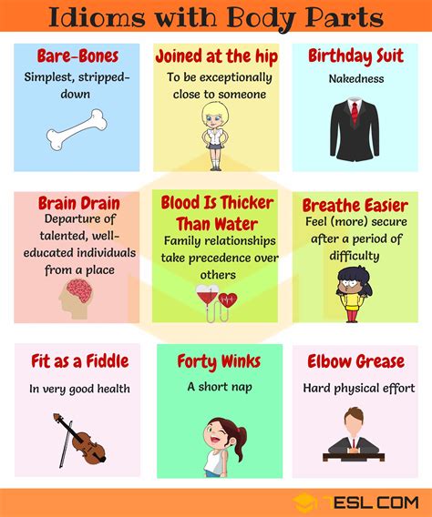BODY Idioms 100 Useful Body Parts Idioms In English Efortless English