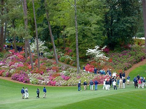 Augusta National Golf Course Augusta National Golf Course Flickr