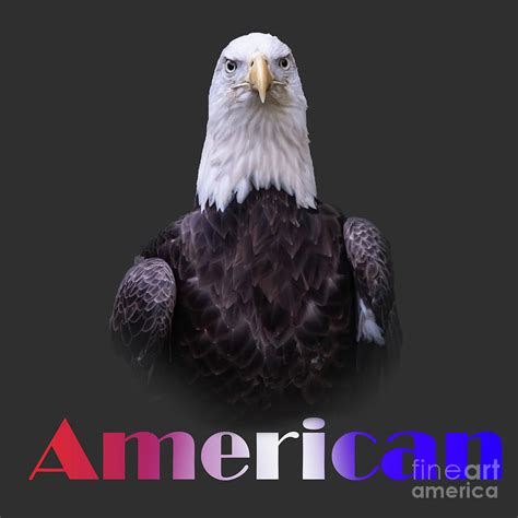 Bald Eagle Proud Mixed Media By Ed Taylor Fine Art America