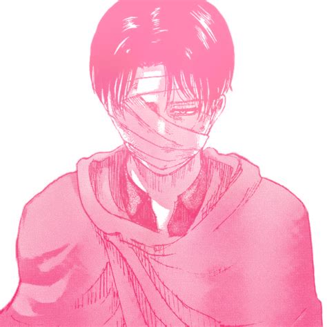 Request Shingekinokyojin Anime Levi Icon Pink Levi Ackerman Red