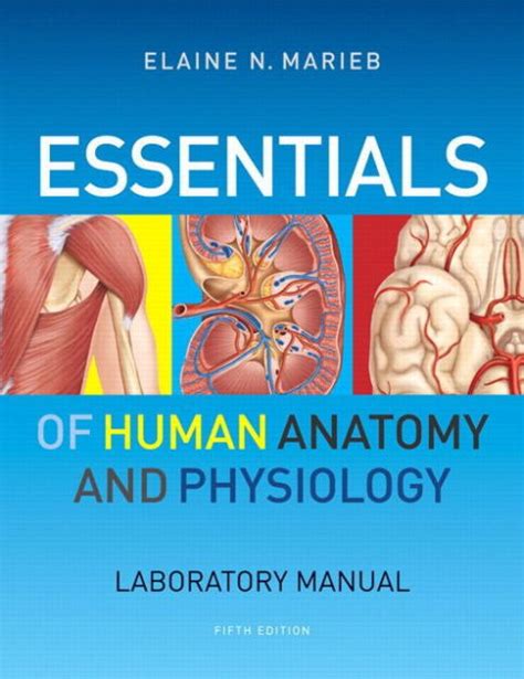Essentials Of Human Anatomy And Physiology Laboratory Manual Edition 5