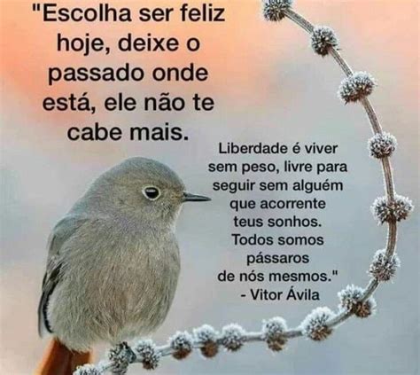 Pin De Araci Luz Em Poeme Seja Feliz Hoje Escolha Ser Feliz Feliz