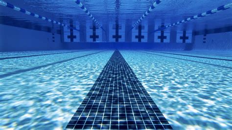 Swimming Underwater Wallpapers Top Free Swimming Underwater
