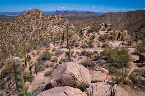 The Adventures Of Ken Saguaro National Park West Tucson Arizona