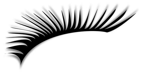 Eyelashes Clipart 20 Free Cliparts Download Images On Clipground 2024
