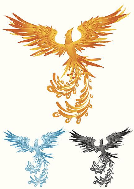 Phoenix Clip Art Vector Images And Illustrations Istock