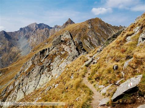 Maybe you would like to learn more about one of these? Varful Moldoveanu, Fagaras, Munti - Aventura in Romania