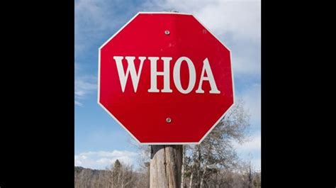 This Whimsical Sign Tells Motorists And Those On Horseback To Whoa
