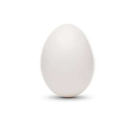white egg png 758 download