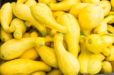 15 Common Types Of Squash—and What To Do With Them Myrecipes
