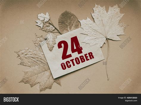 October 24 24th Day Image And Photo Free Trial Bigstock
