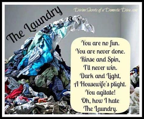 Pin By Kristi Huff On DIY Projects Light In The Dark Laundry Humor