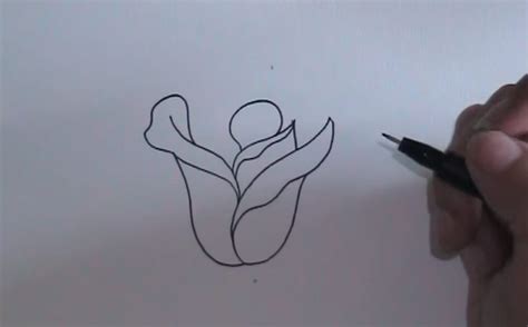 Kako Nacrtati Cveće