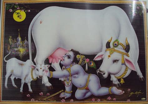 Baby Krishna And Holy Divine Cow Baby Krishna Krishna Radha Krishna