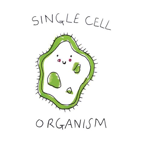 Cute Cell Cell Biology T Shirt Teepublic