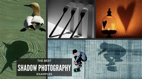 75 Best Shadow Photography Examples Ever