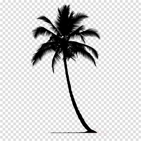 7357 Palm Tree Silhouette Heromockup