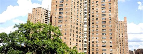 More Than 800 Nycha Kids Tested Positive For Lead City Admitsmás De