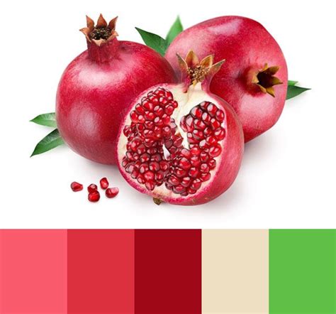 Pomegranate Color Palette Pomegranate Fruit Pomegranate Juice