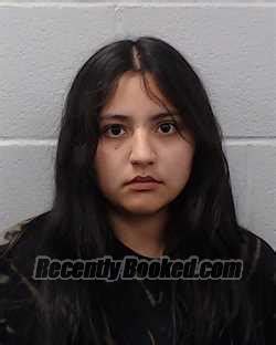 Recent Booking Mugshot For Genevieve Michelle Medina In Hays County