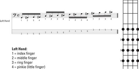 Bass Guitar Finger Exercises For Beginners Exercise Poster
