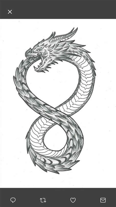 Dragon Tattoo Directly From Concept Drawings Big Thanks To Ann Foley