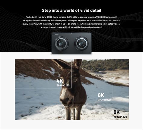 Calf Professional 3d Vr180 Camera