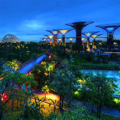 In the evening you can admire the wonderful light. Gardens by the Bay - Visit Singapore Official Site