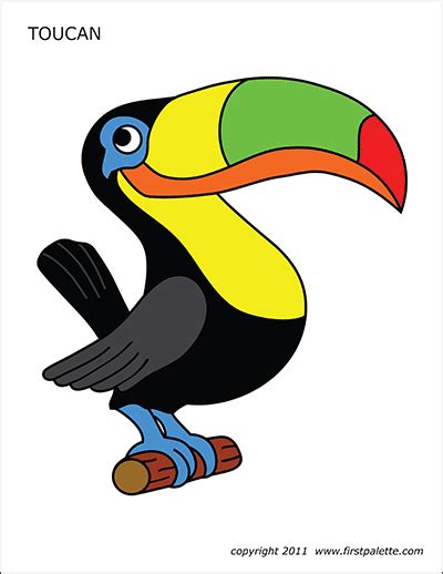 Free printable toucan coloring page for kids that you can print out and color. Toucan | Free Printable Templates & Coloring Pages ...