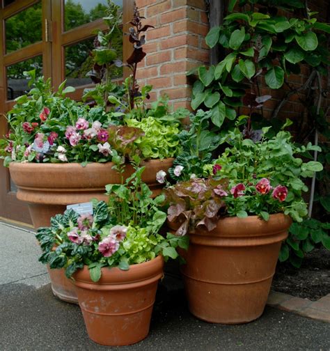 Online therapy has been proven to be an effective way to reach your goals and improve your mental health. Create Your Own Horticultural Therapy Containers at Home ...