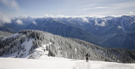 Our First Time Snowshoeing Hurricane Ridge Olympic