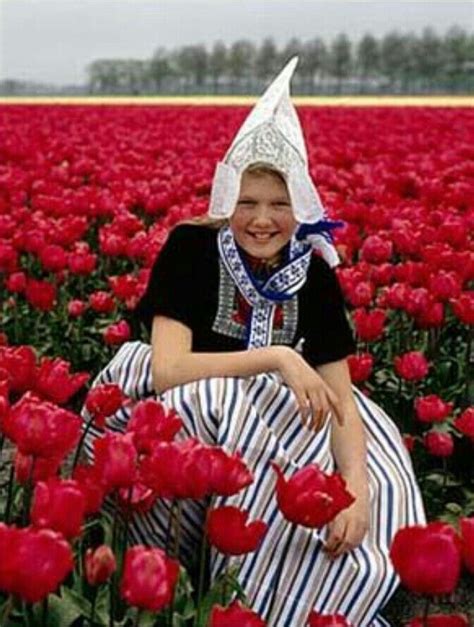 Holanda Un País Para Descubrir Campo De Tulipanes Ofertraveles Ofertravel © Costumes