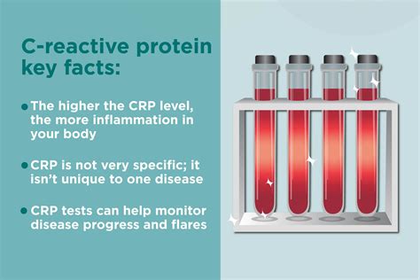 What Is C Reactive Protein What It Can Tell You About Your Autoimmune