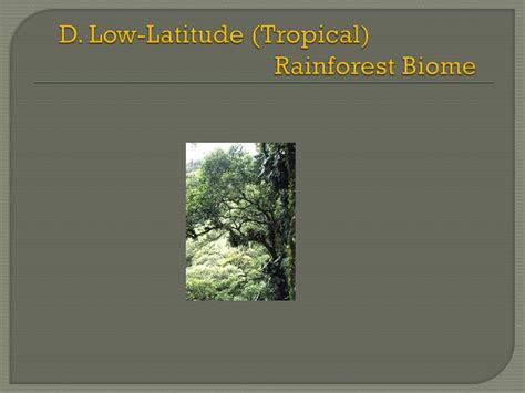 The land on which these forests grow is being used for homes and factories and roads. PPT - D. Low-Latitude (Tropical) Rainforest Biome ...