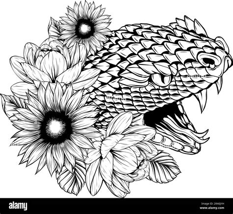 Snake Head Outline In Black And White Stock Vector Image And Art Alamy