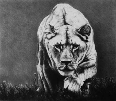 30 Amazing Realistic Pencil Drawings