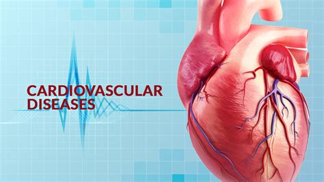 Cardiovascular Diseases Types Symptoms Risk Factors And Treatment