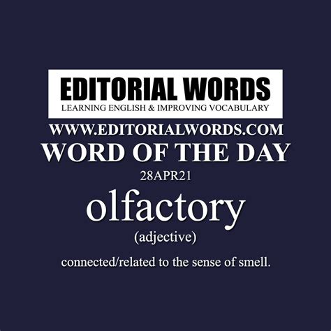 Word Of The Day Olfactory 28apr21 Writing Words Uncommon Words