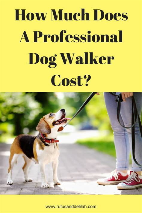 A good area to look for pitbull puppies or dogs is your nearest adoption center or animal shelter. How Much Does A Professional Dog Walker Cost? | Dog walker ...