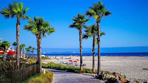 The 12 Best Beaches Near San Diego For Families