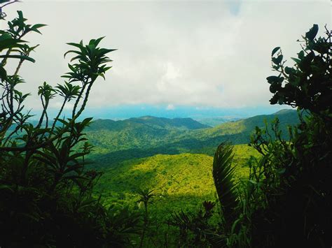 The Only Tropical Rainforest In The U S Forest Service El Yunque Is Integral To Puerto Rico
